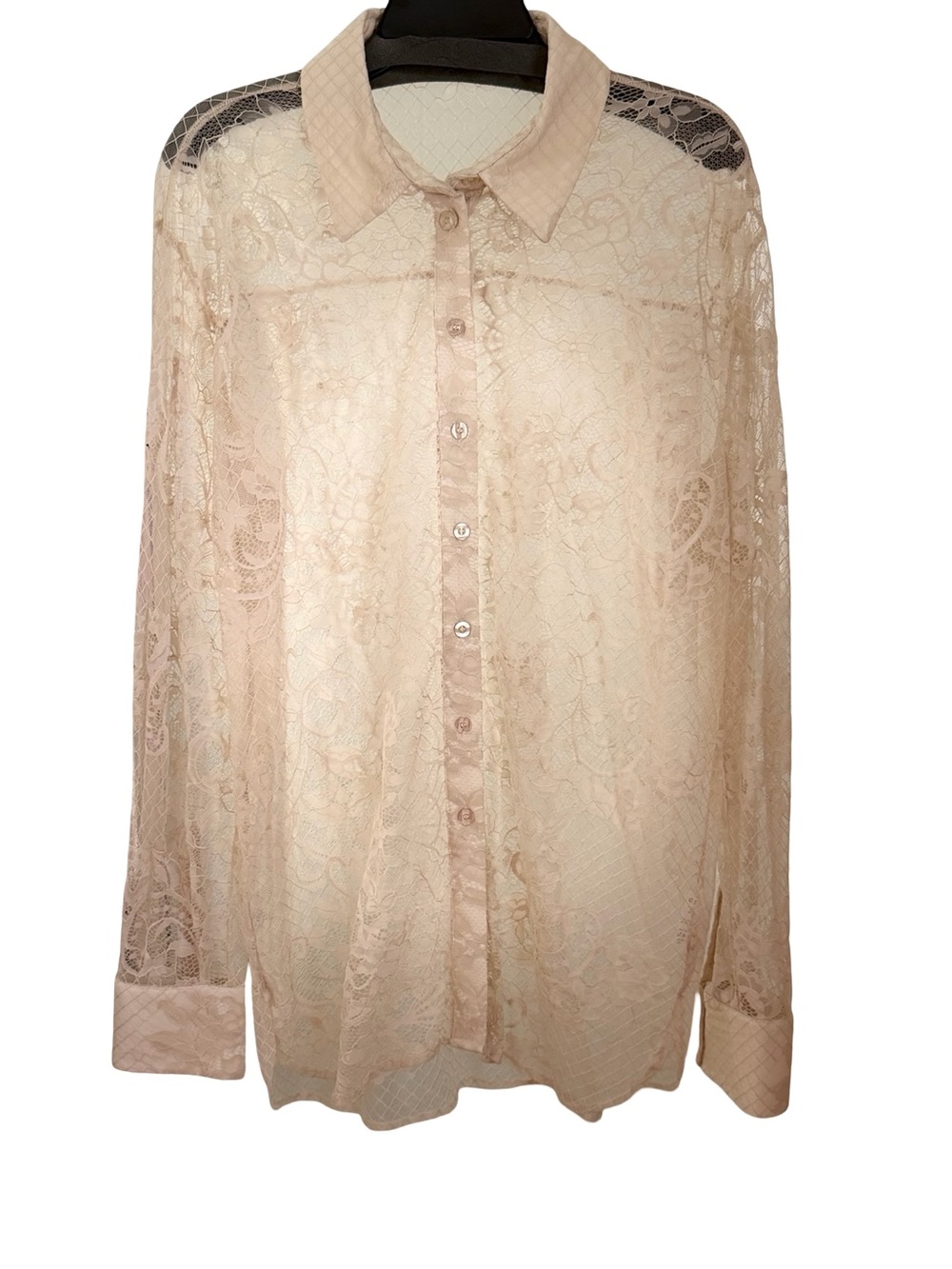 Gestuz Sheer Lace Button-Up Blouse in Light Beige